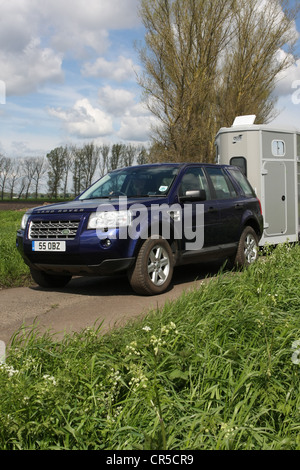 Land Rover Freelander 2 Abschleppen Ifor Williams Pferdeanhänger Stockfoto