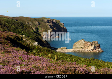 Frankreich, Cote d ' Armor, cap Frehel Emeraude Küste Stockfoto