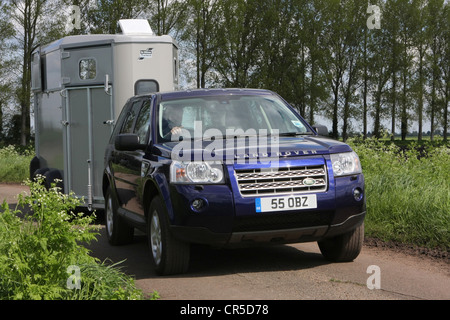 Land Rover Freelander 2 Abschleppen Ifor Williams Pferdeanhänger Stockfoto