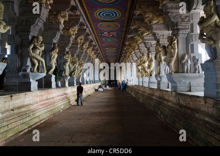 Der Ramanathaswamy-Tempel in Rameshwaram ist ein riesiges Labyrinth von großen Galerien, hier den Korridor der 1000 Säulen, Tamil Nadu Stockfoto