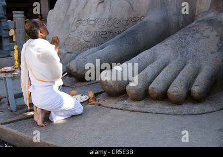 Ortspfarrer tut seine Gebete vor der riesigen Statue von Gomateshwara, Sravanabelagola, Karnataka, Indien, Asien Stockfoto