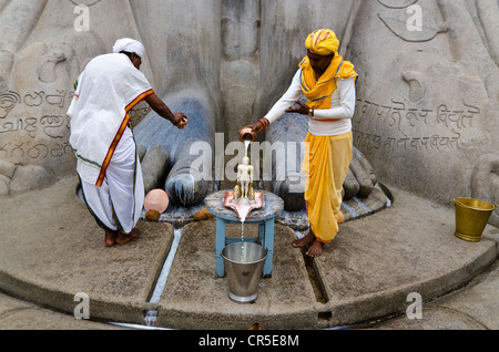 Zwei einheimische Priester strömen Milch über den Füßen der Statue von Lord Gomateshwara, der größte monolithische Statue der Welt, Stockfoto