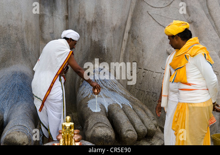 Zwei einheimische Priester strömen Milch über den Füßen der Statue von Lord Gomateshwara, der größte monolithische Statue der Welt, Stockfoto