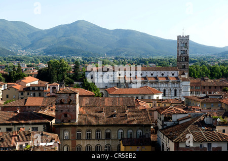 Italien, Toskana, Lucca, Duomo di San Martino (St Martin Cathedral) mit romanischen Stil Stockfoto