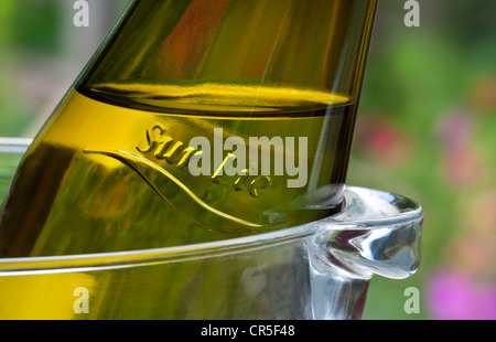 SUR LIE MUSCADET FLASCHE Ansicht schließen auf Alfresco Flasche französischen Muscadet am späten Nachmittag Garten Sonne mit der ur-Lüge" als Relief auf der Flasche den Hals Stockfoto