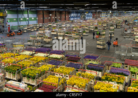 Der größte Blumenmarkt in der Welt (Blumenversteigerung), Verkauf von