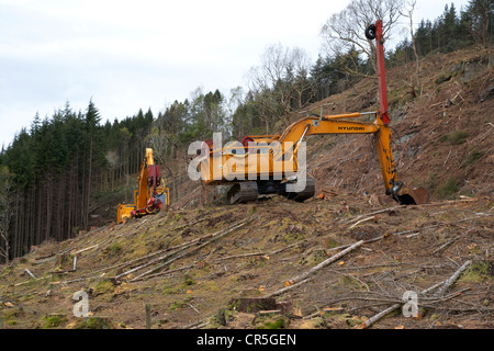 Baggern und schwere Ausrüstung schneiden Bäume in einem Wald im Hochland von Schottland, Vereinigtes Königreich Stockfoto