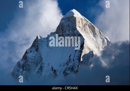 Shivling, 6543 m die höchste natürliche Shiva Lingam über Gaumukh, Gangotri, Uttarakhand, ehemals Uttaranchal, Indien, Asien Stockfoto