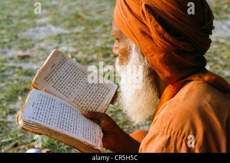 Sadhu Lektüre der Heiligen Schrift, Haridwar, Uttarakhand, ehemals Uttaranchal, Indien, Asien Stockfoto