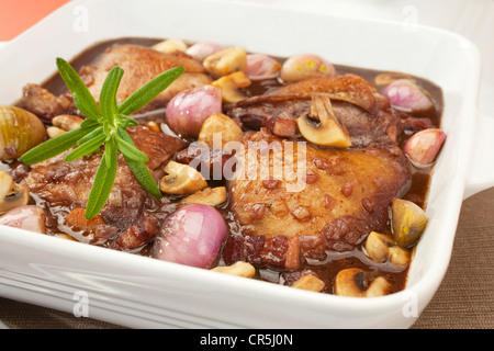 Französische Klassiker, Coq Au Vin oder Huhn in Rotwein mit Pilzen, Zwiebeln und Speck. Perfekt für Sonntagmittag mit Kartoffelpüree. Stockfoto