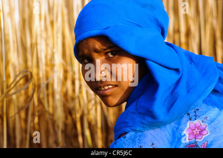 Bauernmädchen schneiden Pflanzen per hand Kurukshetra, Haryana, Indien, Asien Stockfoto