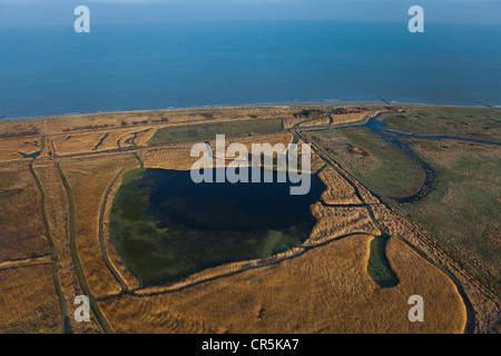 Frankreich, Calvados, Asnelles, Sümpfe neben Gold Beach (Luftbild) Stockfoto