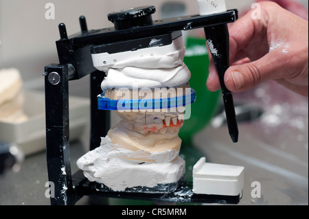 Ober- und Unterkiefer sind artikuliert werden Stockfoto