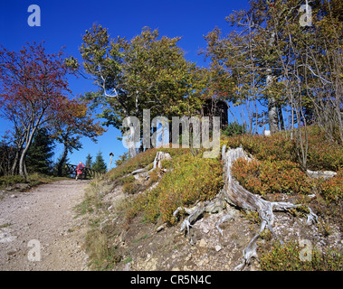 Weiterleitung an das Goethe-Häuschen auf Mt Kickelhahn bei Ilmenau, Thüringer Wald, Thueringer Wald, Thüringen, Deutschland, Europa Stockfoto