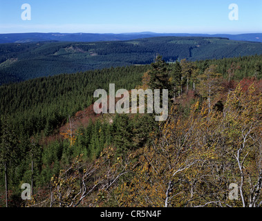 Blick über den Thüringer Wald, Thueringer Wald, vom Aussichtsturm auf Mt Kickelhahn bei Ilmenau, Thüringen Stockfoto