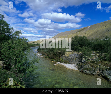 Flusses Atna in Dørålen, Doralen Tal, Rondane Nationalpark, Norwegen, Skandinavien, Europa Stockfoto