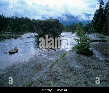 Felsige Landschaft entlang des Flusses Otra in Setesdal, Aust-Agder, Norwegen, Skandinavien, Europa Stockfoto