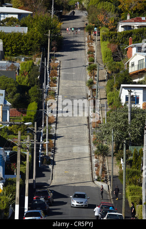 Baldwin Street (steilste Straße der Welt), Dunedin, Südinsel, Neuseeland Stockfoto