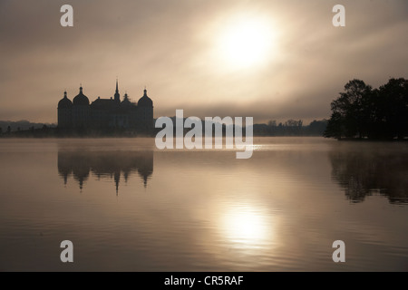 Schloss Moritzburg Schloss im Morgennebel, herbstliche Stimmung auf der Burg Teich, Sachsen, Deutschland, Europa Stockfoto