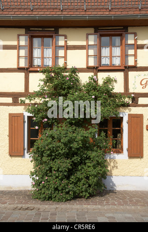 Fachwerkhäuser, historische Gasthaus gegenüber dem Kloster Kloster Buch in Klosterbuch, Sachsen, Deutschland, Europa Stockfoto