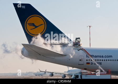 Schweif von einer Lufthansa Boeing 747 - 430M wird am Flughafen Frankfurt, Hessen, Deutschland, Europa, PublicGround de-Eistee Stockfoto