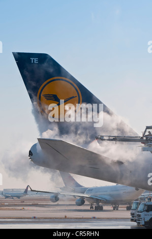 Schweif von einer Lufthansa Boeing 747 - 430M wird am Flughafen Frankfurt, Hessen, Deutschland, Europa, PublicGround de-Eistee Stockfoto