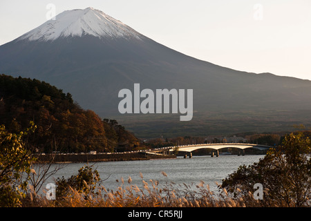 Japan, Insel Honshu, Mount Fuji Region, Kawaguchi-See mit dem Fujisan (3776m) im Hintergrund Stockfoto