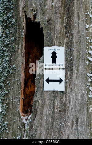 Wanderer trail Marker auf einen alten Baumstumpf, Taunus, Hessen, Deutschland, Europa, PublicGround Stockfoto