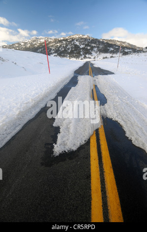 Schnee auf dem Weg zum Charlotte Pass, Kosciuszko National Park, NSW, Australien Stockfoto
