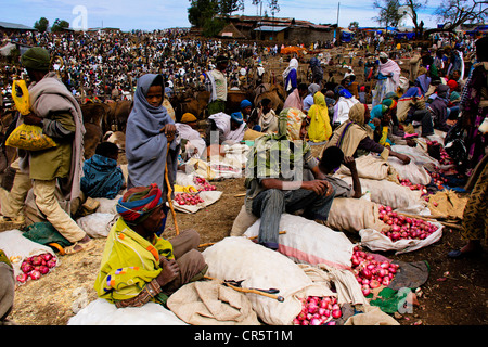 Markt in Lalibela, Äthiopien, Afrika Stockfoto