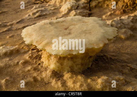 Schwefel-Felsformationen, Dallol, Danakil-Senke, Äthiopien, Afrika Stockfoto