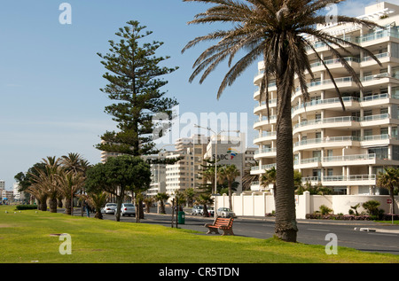 Hochhäuser entlang der Uferstraße in Sea Point in der Nähe von Cape Town, Südafrika, Afrika Stockfoto