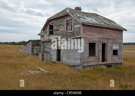 Kanada, Provinz Quebec, Duplessis Region, Anticosti Island, das alte Dorf von Baie Sainte Claire, ruiniert Haus Stockfoto