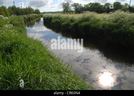 Die sechs Meile Fluss in der Grafschaft Antrim an einem Sommerabend. Bild von: Adam Alexander/Alamy Stockfoto