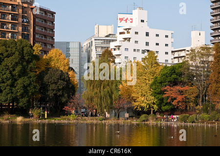 Japan, Insel Honshu, Tokyo, der Ueno-Park Stockfoto