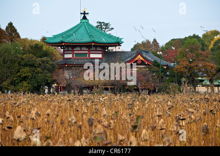 Japan, Insel Honshu, Tokyo, der Ueno-Park, der Benten tun Tempel Stockfoto