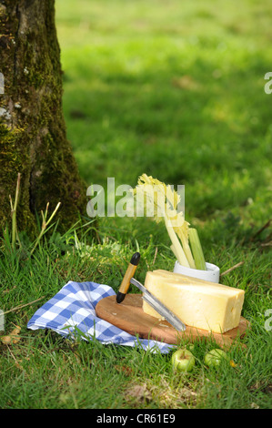 Ein Picknick in einem Obstgarten, Somerset UK angelegt Stockfoto