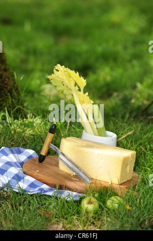 Ein Picknick in einem Obstgarten, Somerset UK angelegt Stockfoto