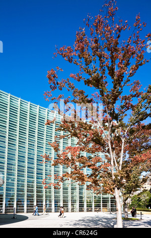 Japan, Insel Honshu, Tokio, Roppongi, The National Art Center Museum des Architekten Kisho Kurokawa Stockfoto