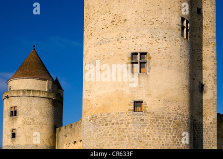 Frankreich, Seine et Marne, Blandy Les Tours, aufhören Mauern der Burg vom 13. Jahrhundert mit der Bergfried in der Stockfoto