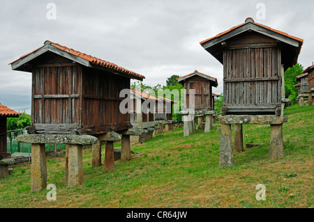 Gruppe von traditionellen Speisekammern, benannte Horreos in spanischer Sprache. Ein Merca Ourense, Spanien. Stockfoto