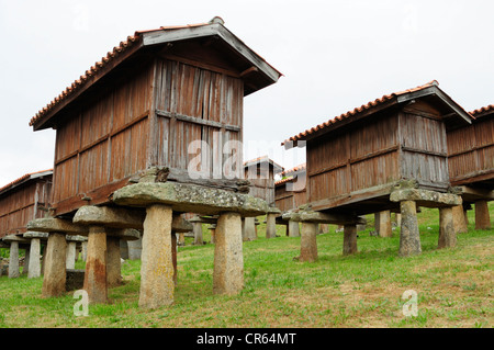 Gruppe von traditionellen Speisekammern, benannte Horreos in spanischer Sprache. Ein Merca Ourense, Spanien. Stockfoto