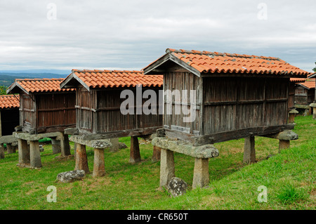 Gruppe von traditionellen Speisekammern, benannte Horreos in spanischer Sprache. Ein Merca Ourense, Spanien. Stockfoto