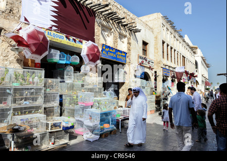 Tiermarkt in al Souq Waqif, der ältesten Souk oder Basar in dem Land, Katar, Arabische Halbinsel, Persischer Golf, Nahost Stockfoto