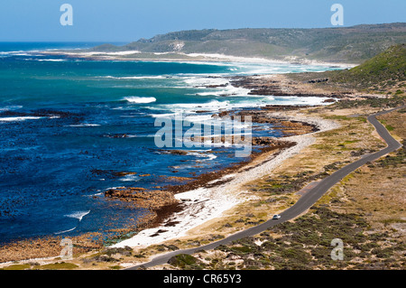 Südafrika, Western Cape, Cape Town, Table Mountain National Park Stockfoto