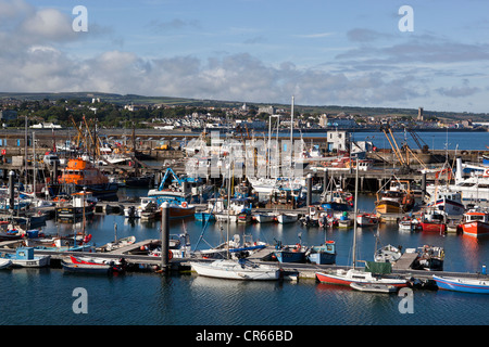 Angeln rühmen im Hafen von Newlyn Stockfoto