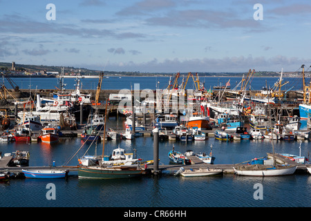 Angeln rühmen im Hafen von Newlyn Stockfoto