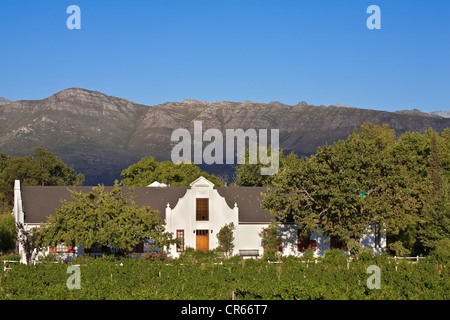 Südafrika, Western Cape, Tal von Franschhoek, Weingut Domäne und Haus typischen kapholländischen Stil Stockfoto