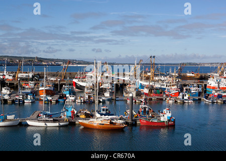 Angeln rühmen im Hafen von Newlyn Stockfoto