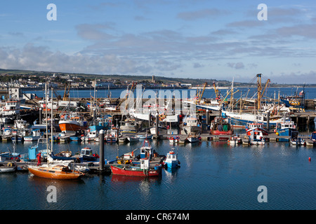 Angeln rühmen im Hafen von Newlyn Stockfoto